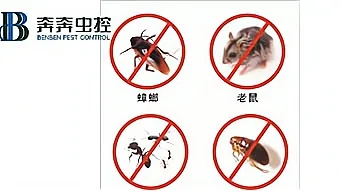 酒店宾馆环境防制建议
