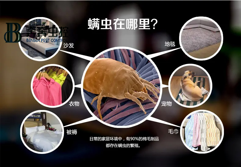 每天都和虫虫睡在一起？