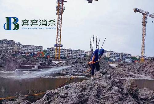 针对建筑工地的白蚁预防