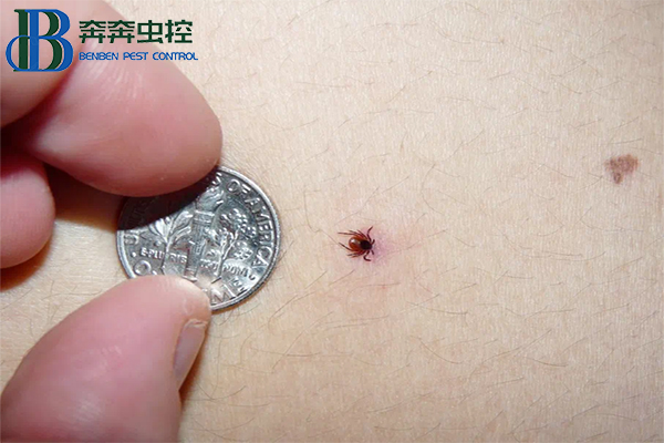 “虫出没请注意”，蜱虫进入活跃期！