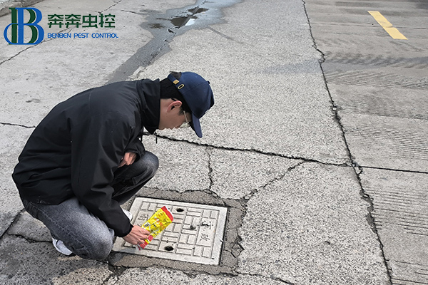 “卫”爱守护，健康校园！消灭四害，人人有责