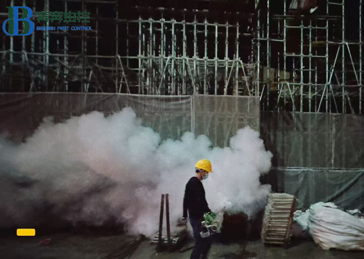工地夏季灭蚊攻略：从“治蚊”到“防蚊”，守护施工安全与健康